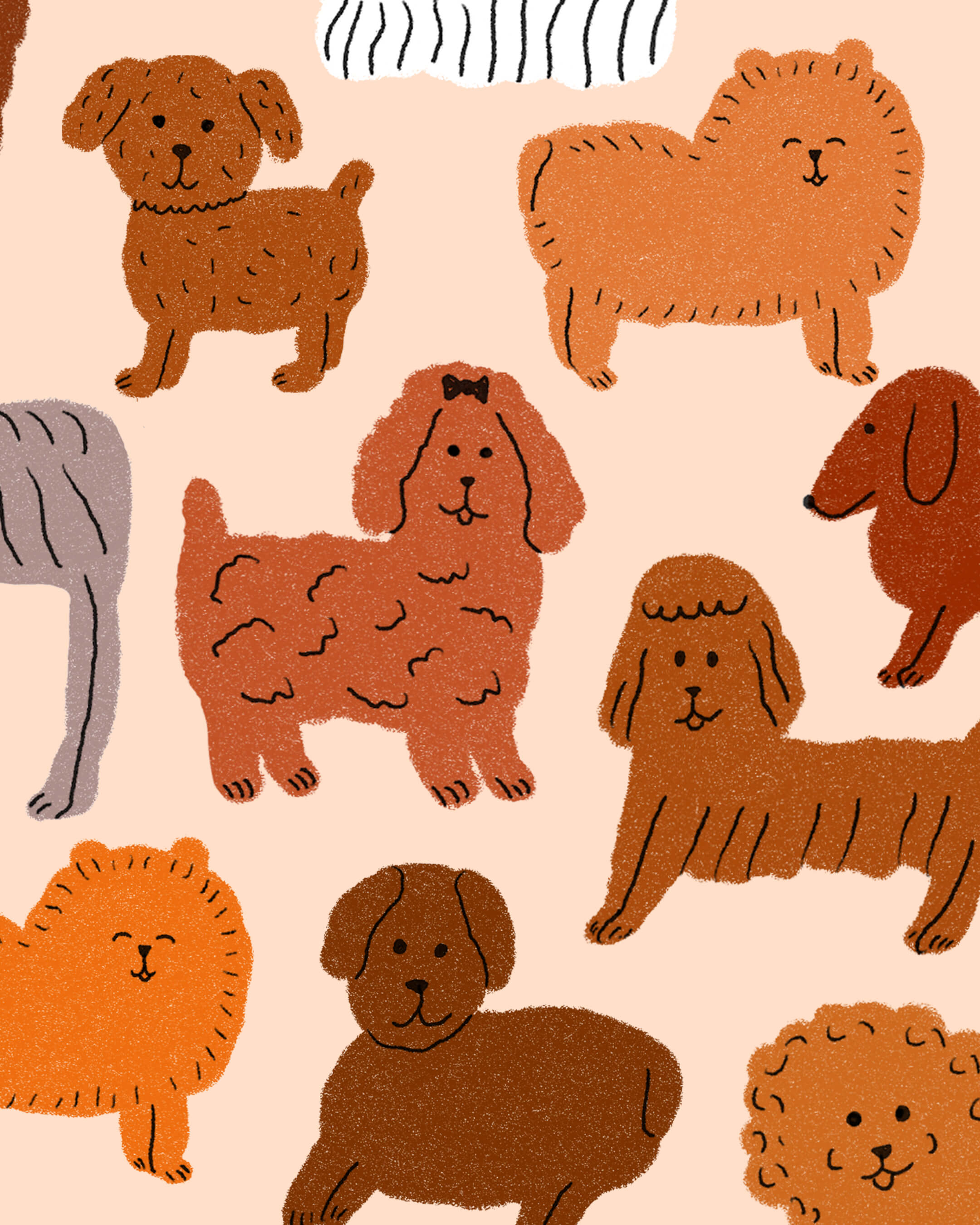 Éventail Puppies
