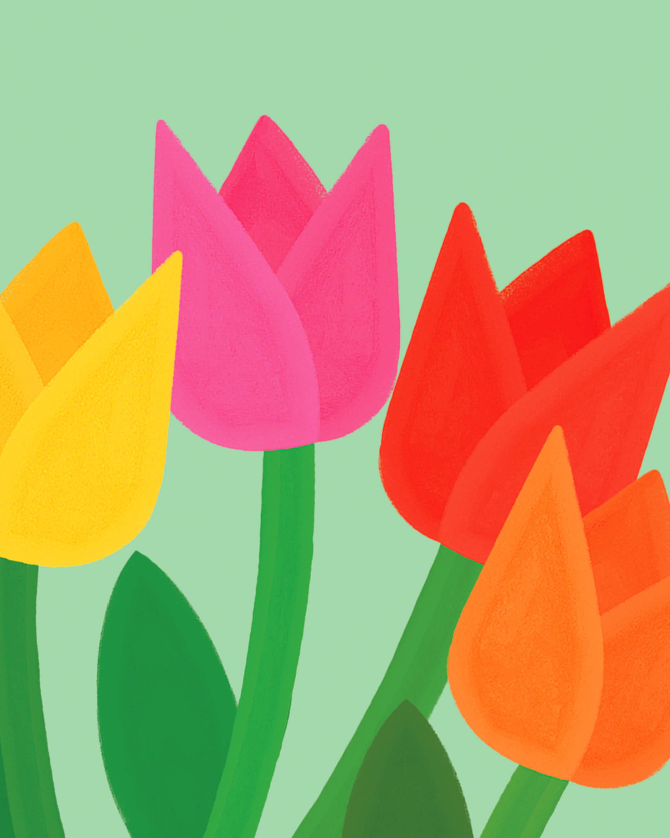 Éventail Tulips